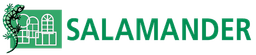 Salamander